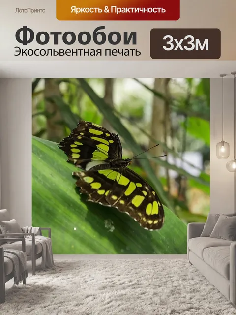 Фотообои Бабочка