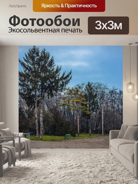 Фотообои Парк