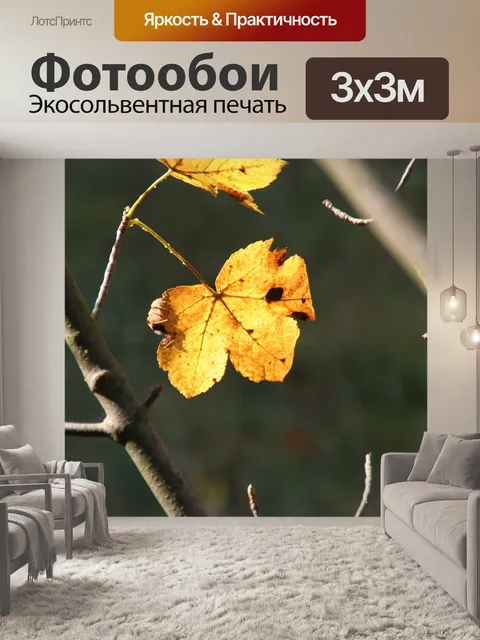 Фотообои Падение