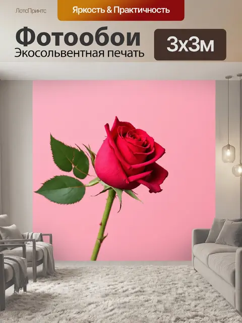 Фотообои розы в стиле минимализм