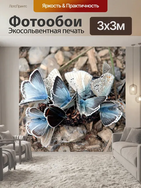Фотообои Бабочки