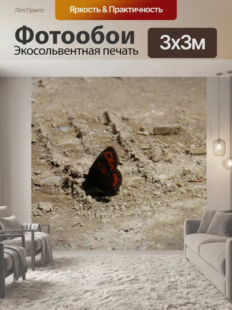 Фотообои Бабочка
