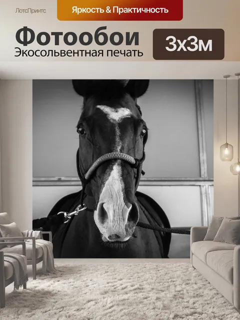 Фотообои Лошадь