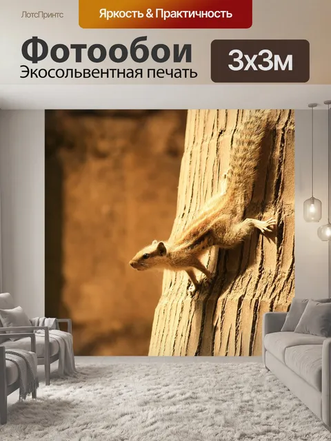 Фотообои Белка