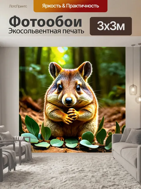 Фотообои квокка, мирно жующая листья эвкалипта в тропическом лесу, освещенный мягким солнечным светом