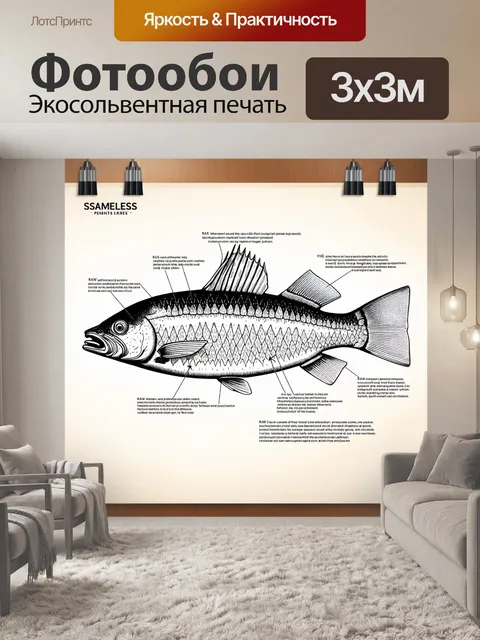 Фотообои технический рисунок с анатомией рыбы