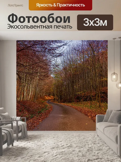Фотообои Лес