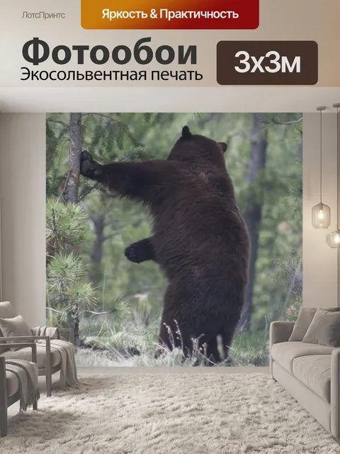 Фотообои Черный медведь