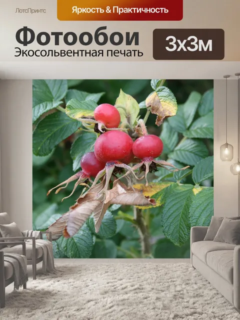 Фотообои Лист