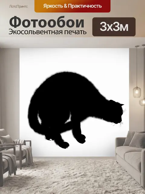 Фотообои Силуэт кошки