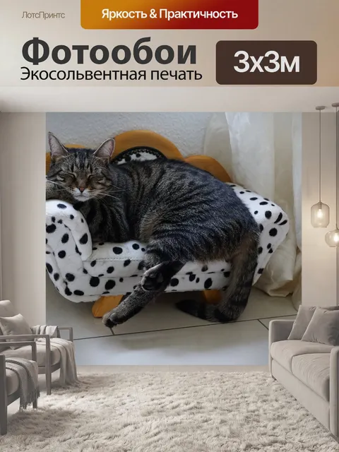 Фотообои Животное