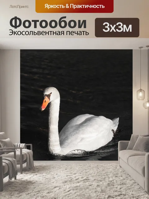 Фотообои Лебедь на воде