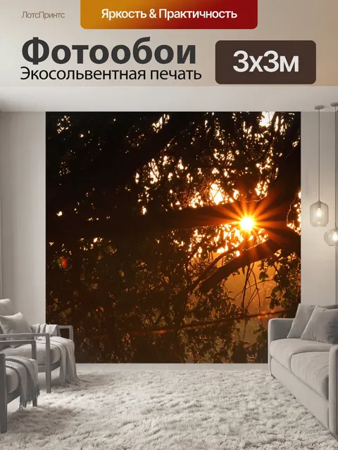 Фотообои золотой всплеск между листьями