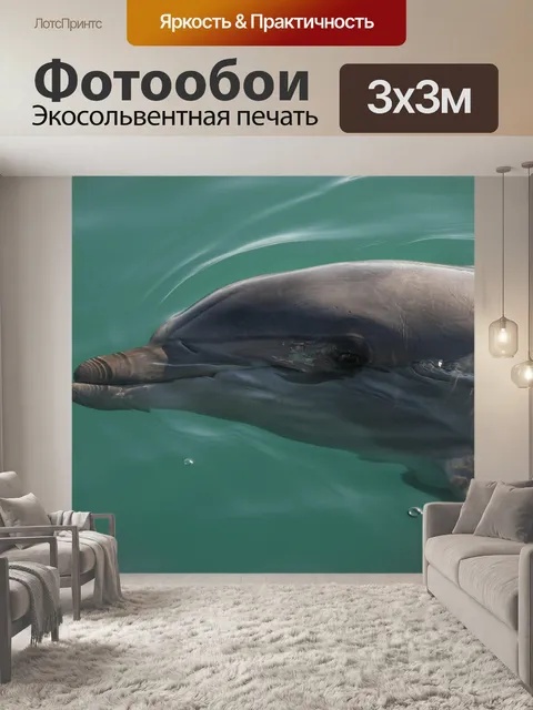 Фотообои Дельфин