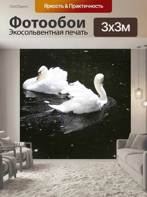 Фотообои два белых лебедей на пруду