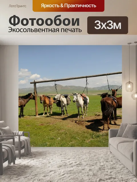 Фотообои Монголия