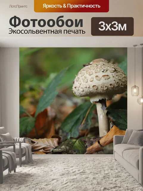 Фотообои Лес