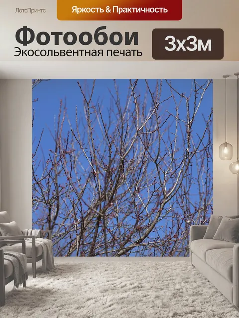 Фотообои Дерево