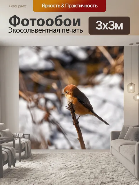 Фотообои Животное