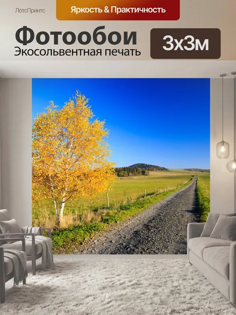 Фотообои Береза ​​осенью