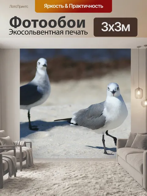 Фотообои Птицы