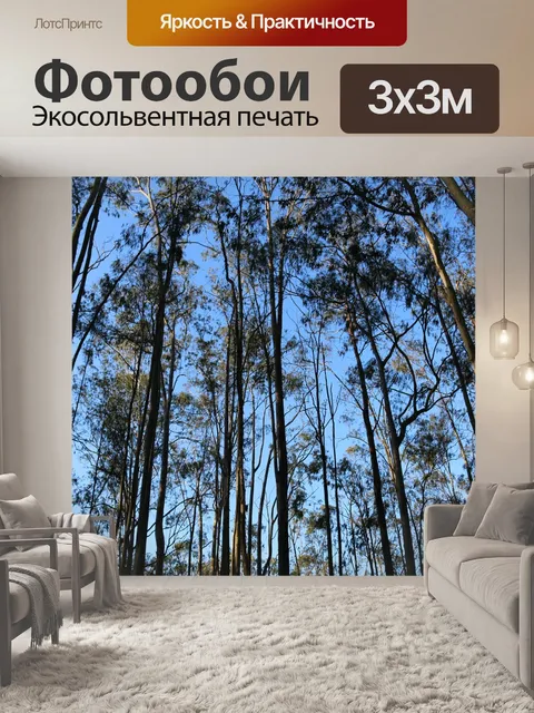 Фотообои Лес