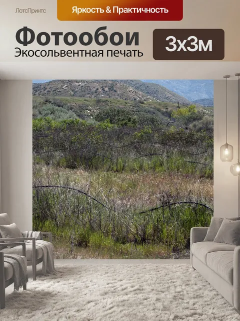 Фотообои Сиреневые поля