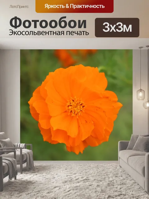 Фотообои Сера космос