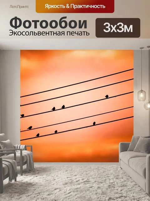 Фотообои Птицы на проводе