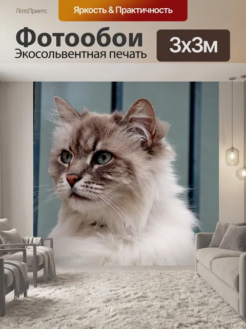 Фотообои Кошки