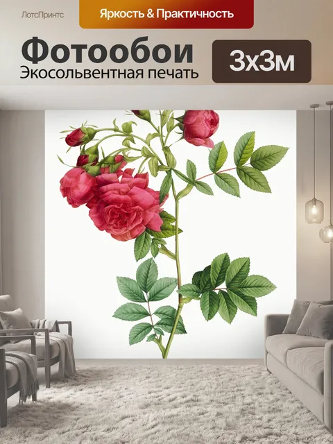 Фотообои Нарисованный цветок розы