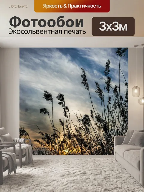 Фотообои Закат
