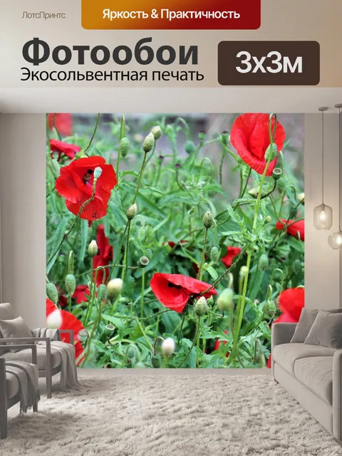Фотообои Трава