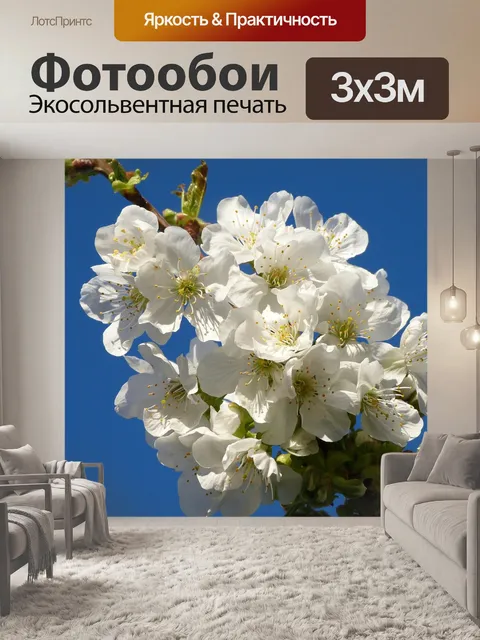 Фотообои Вишня