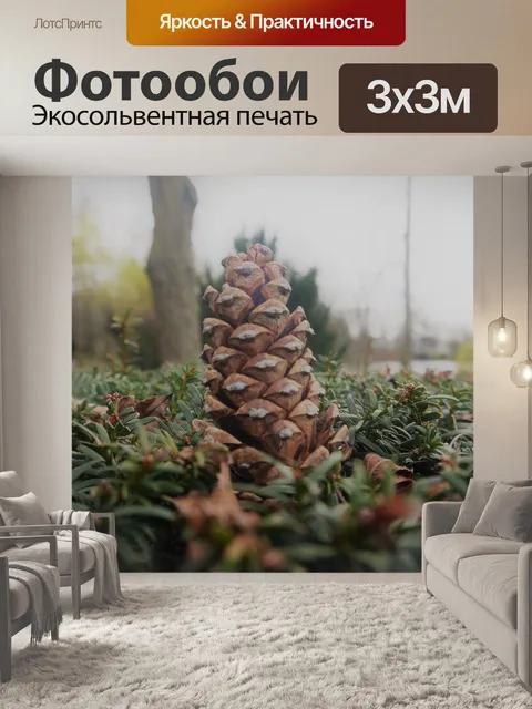 Фотообои Конус