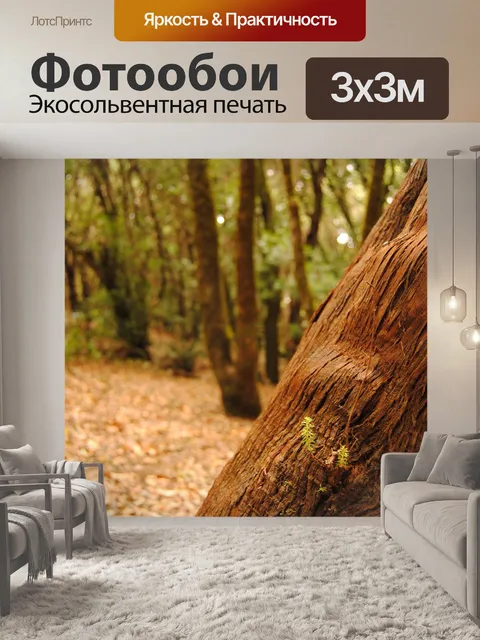 Фотообои Лес