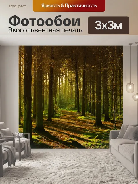 Фотообои Лес сосны