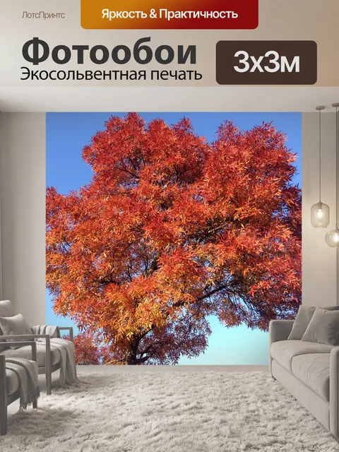 Фотообои Дерево