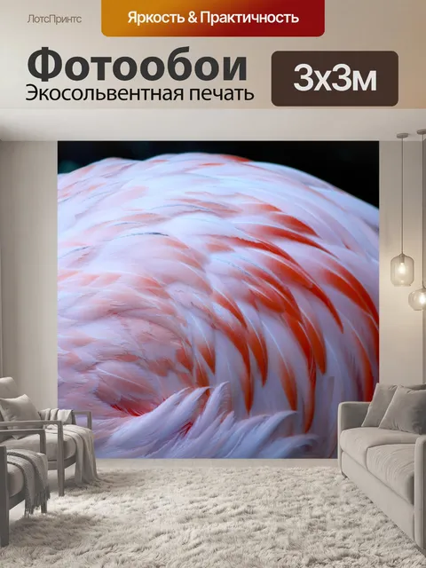 Фотообои Flamingo перья крупным планом