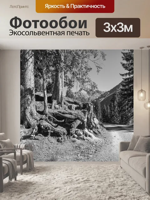 Фотообои Черно-белый