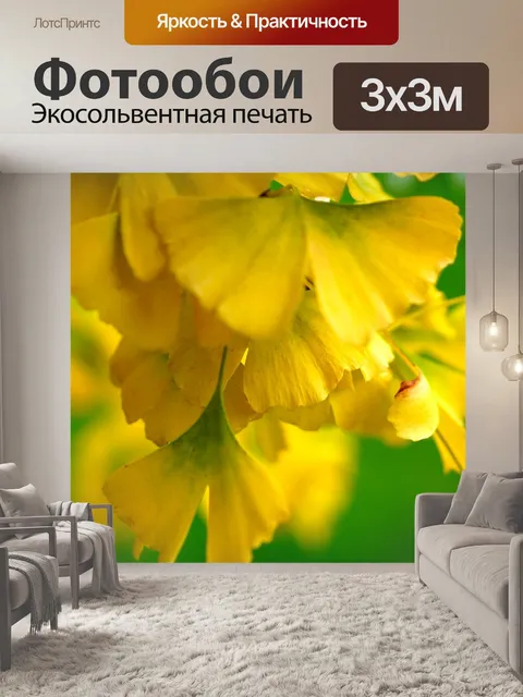 Фотообои Гинко