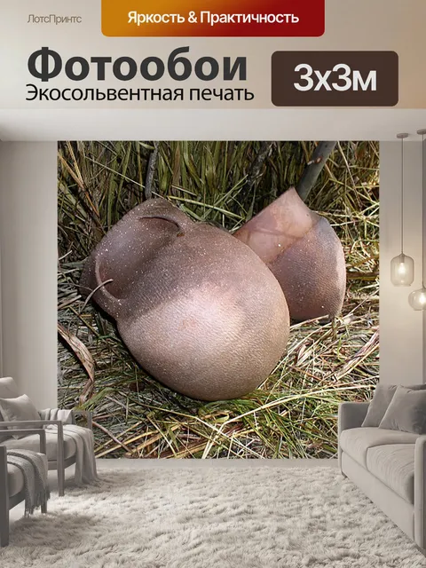 Фотообои Индейская керамика