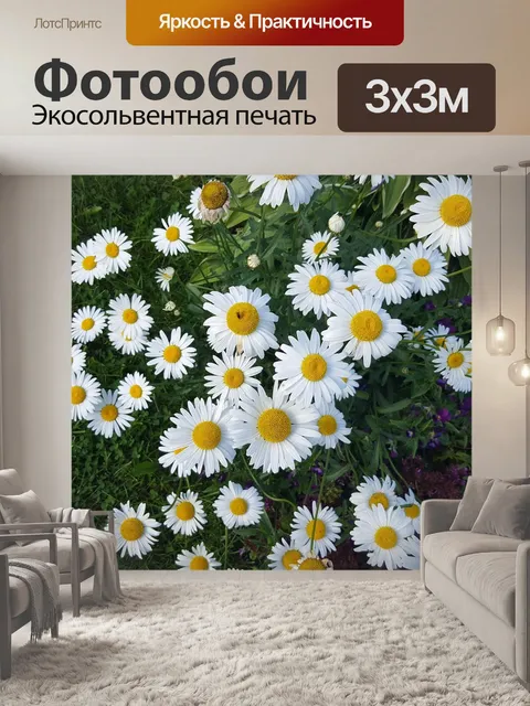 Фотообои Цветок