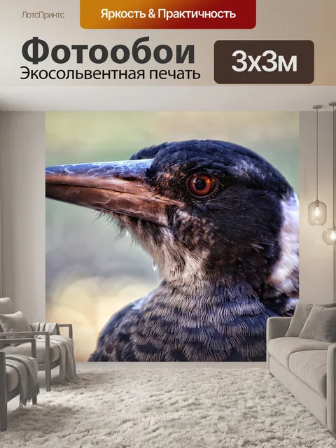 Фотообои Сорока