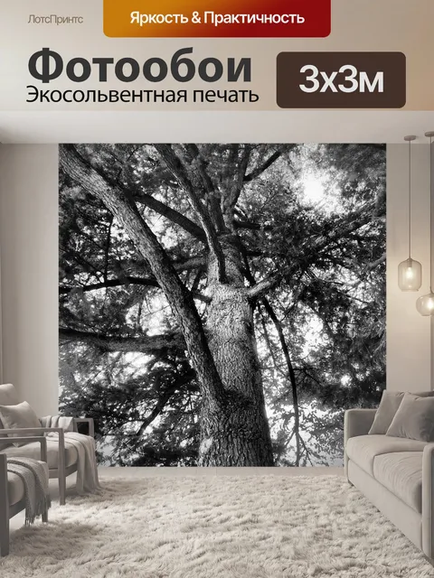 Фотообои Неро