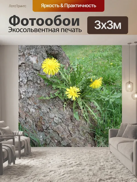 Фотообои Одуванчик на дереве