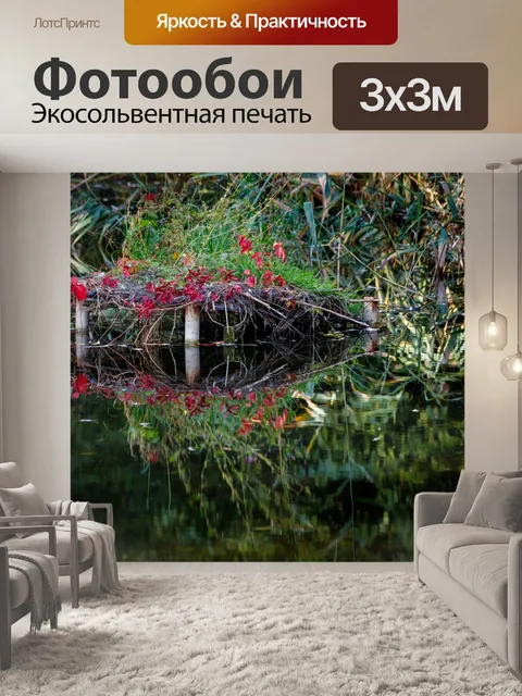 Фотообои Ботанический сад