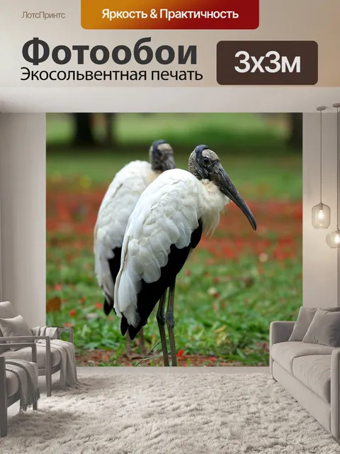 Фотообои Деревянный аист