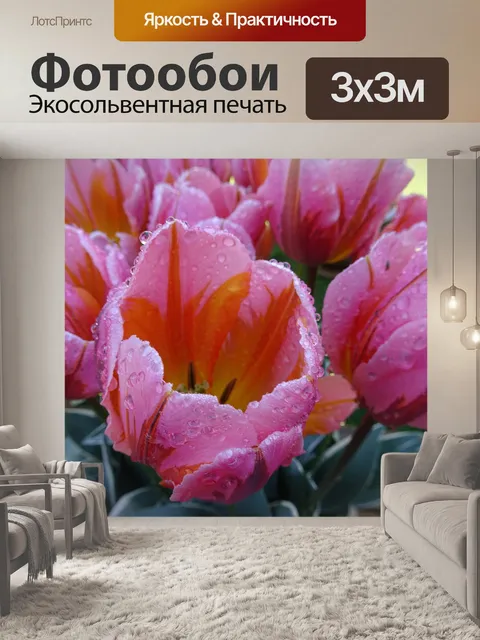 Фотообои Влажные тюльпаны