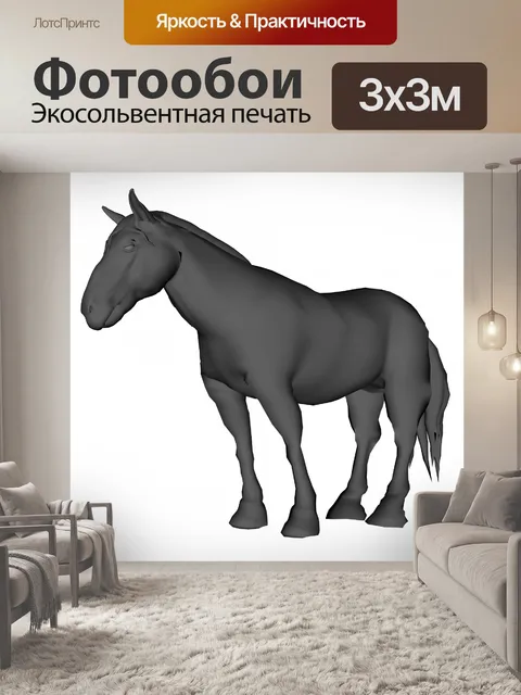 Фотообои серый конь